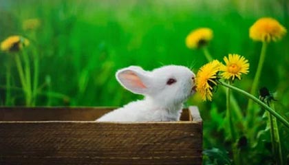 全国青少年体操版块精彩纷呈，创新不断，全国青少年艺术体操技术大赛